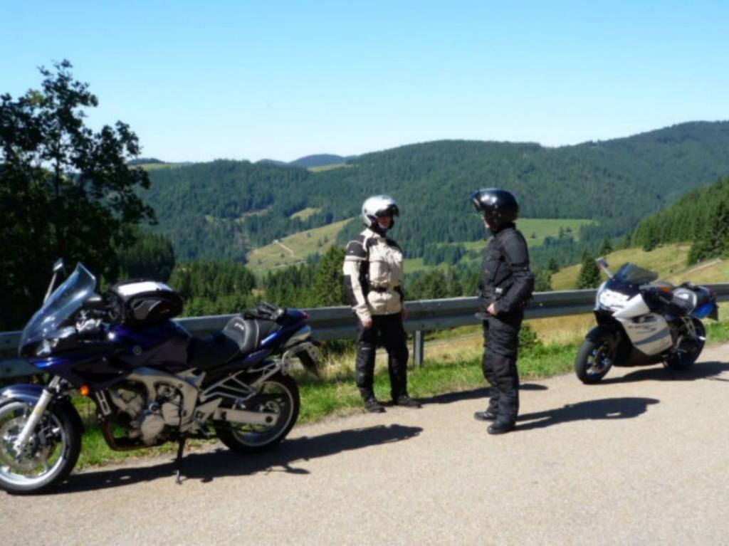 Haus Am Kreuzbuehl Daire Dachsberg im Schwarzwald Dış mekan fotoğraf