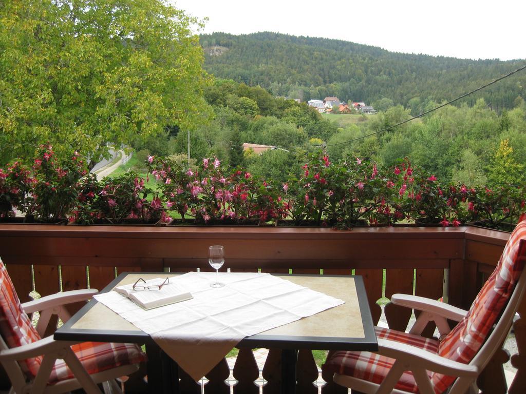 Haus Am Kreuzbuehl Daire Dachsberg im Schwarzwald Dış mekan fotoğraf