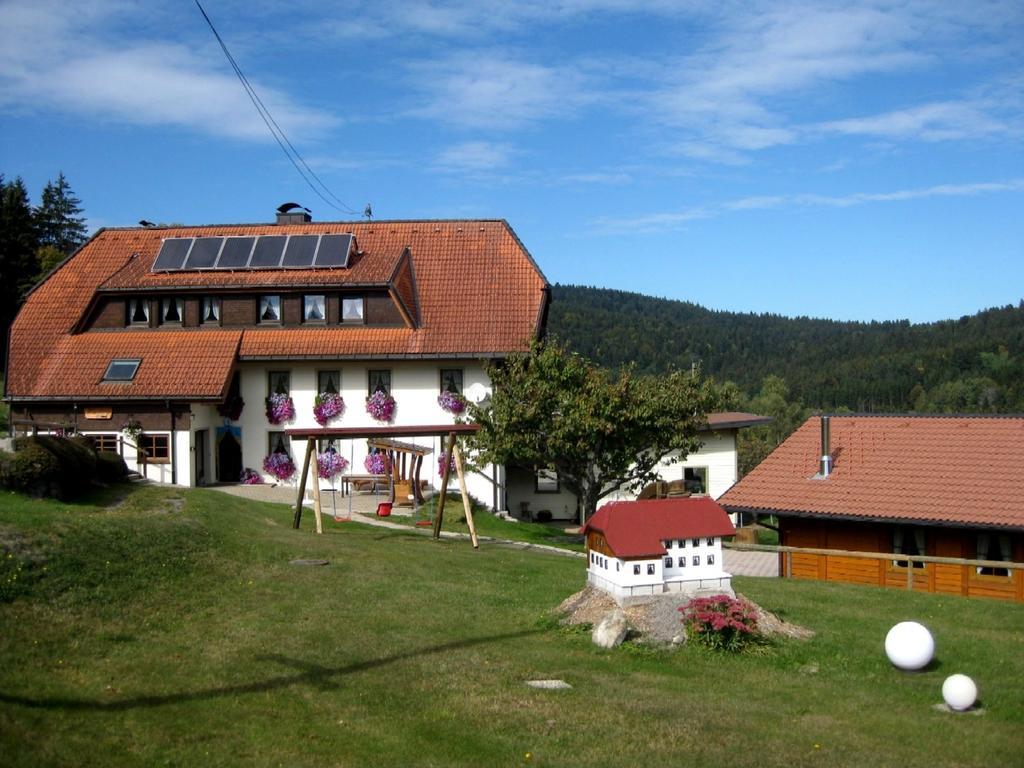 Haus Am Kreuzbuehl Daire Dachsberg im Schwarzwald Dış mekan fotoğraf