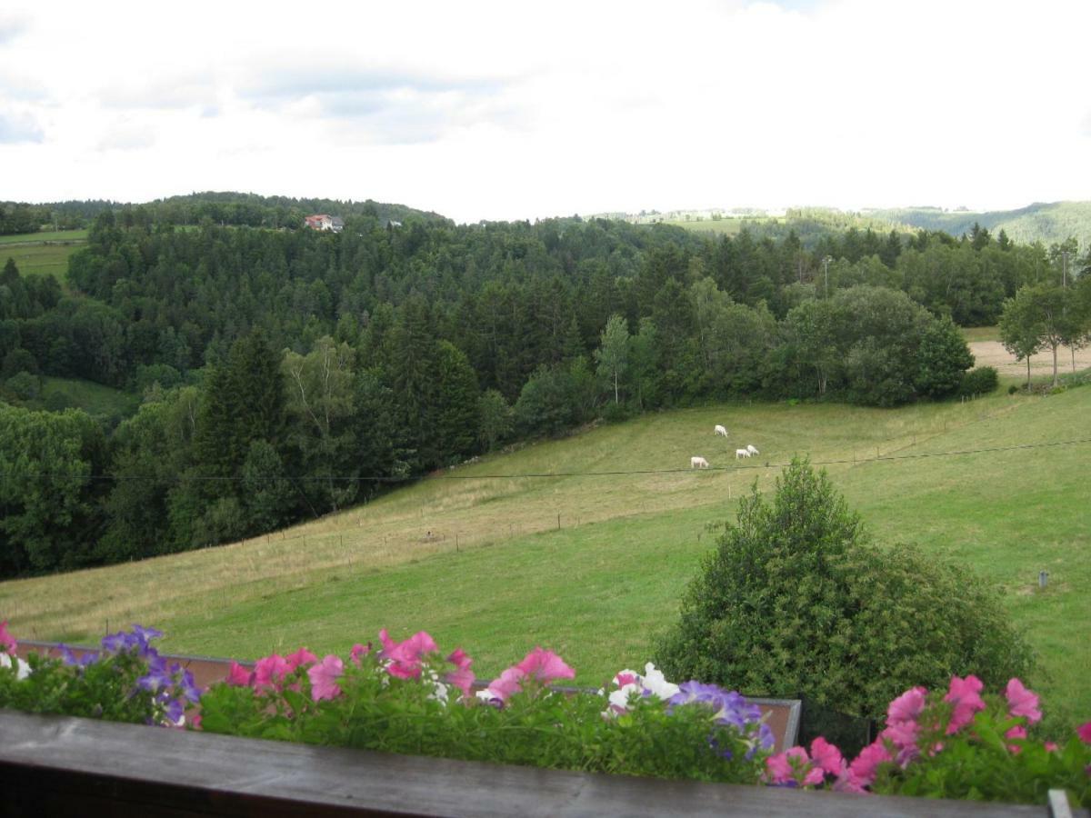 Haus Am Kreuzbuehl Daire Dachsberg im Schwarzwald Dış mekan fotoğraf
