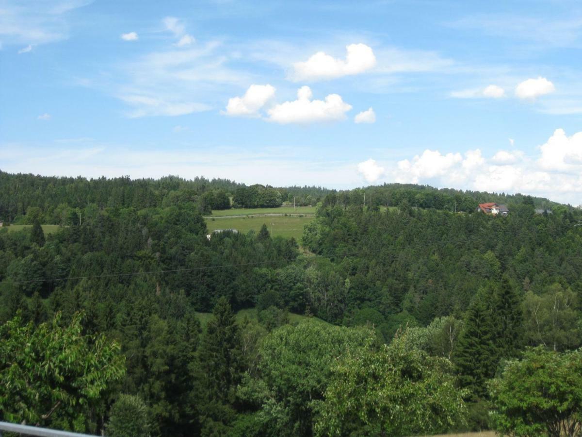 Haus Am Kreuzbuehl Daire Dachsberg im Schwarzwald Dış mekan fotoğraf